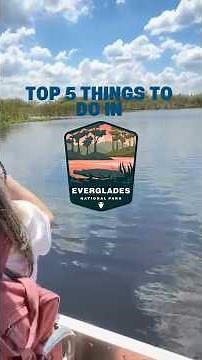Everglades National Park isn’t a place… it’s an experience 🐊 #shorts