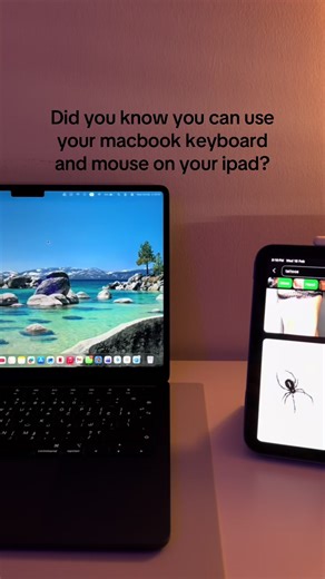 How to Use Your MacBook Keyboard and Mouse on iPad