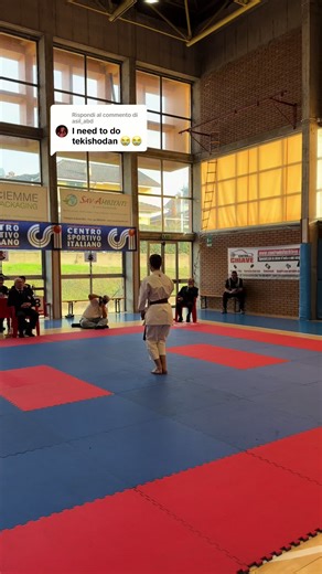 Identifying the Kata in Shotokan Martial Arts Video