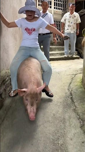 Pig Farming vs Traditional Farming Which is BEST for Beginners | For Education Only