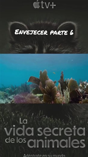 #FotografiaDeNaturaleza #VidaAnimal #EcosistemaAnimal #Biodiversidad #MaravillasNaturales #PlanetaAnimal #DocumentalesNaturaleza #DescubreLaNaturaleza #VidaSecretaAnimal #DocumentalAnimal #NaturalezaSalvaje #MundoAnimal #ComportamientoAnimal #FaunaSilvestre #SecretosAnimales #ObservacionAnimal #peces #WildlifePhotography #NaturePhotography #WildLifeVideo #NatureVideo #AnimalPhotography #PaisajesNaturales #CapturaNaturaleza #MomentosSalvajes