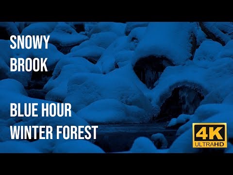 Relaxing snowy brook, winter blue hour in the white forest.