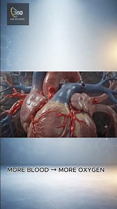 What Happens Inside Your Body When You Exercise? 🫀🫁 | Oxygen & Blood Flow Explained