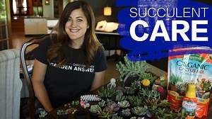196K views · 1.1K shares | Thank you to The Succulent Source for sponsoring this giveaway! https://goo.gl/JthVn5 There are still two chanes to win a $100 gift card! 1. The Facebook winner has been selected! Congrats Denise Simmons! 2. Leave a comment on this video on Youtube https://youtu.be/W2JB1hhKj0s 3. Leave a comment on the succulent picture on Instagram https://goo.gl/98zTHK | Garden Answer | Facebook