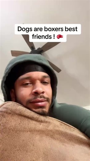 I love animals lol #boxer #fighting #figher #jordanlewis #jordanlewisboxing