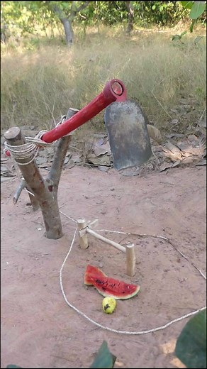 #wildpig #primitive #primitivelife #survivalskills #wildpigtrap #pigtraptechnology #Deephole #WildBoarTrap #dailylife #survivalalone #Giantwildboar #developmentlife #primitivesurvival | MY CAT