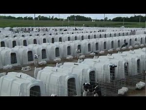 Agri Plastics Full Video