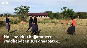 6.1K views · 485 reactions | Hawaasni daangaa Keeniyaafi Yugaandaa gidduu jiraatan hanna looniifi bakka dheedisaatiin wal-dhabaa turan amma nagaa buusanii ijoolleen isaanii mana barumsaa tokkoo keessa baratan 'Waaqni nagaa kana nuuf tursinna' jedhu. Saboonni duraan hanna looniin wal-himatan kun eenyu? | BBC News Afaan Oromoo | Facebook