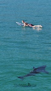 804K views · 70K reactions | A recent yet common scene in Southern...