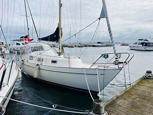 Hallberg-Rassy Monsun 31 for sale on www.yachtbroker.dk