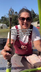 May I introduce to you…. The Lung Rake It’s a Poultry Lung Removal Rake that removes cavity parts and flushes at the same time… What does this mean for you? If you keep your birds WHOLE then you want to remove as much of the cavity parts as possible before putting it in your freezer/or cooking it up. The easiest way to do that while also saving your fingers and time is with the lung rake!! It attaches to your hose and all you do is scrape. Everything comes out within seconds. We definitely recom