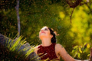 Conoce las claves para atraer la abundancia a tu vida