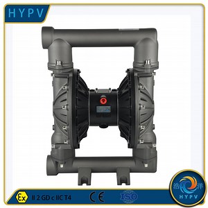 [Hot Item] Pneumatic Coating Industry Solvent Transfer Diaphragm Pump