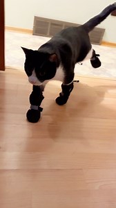 499K views · 1.8K reactions | First Moments Fitz - 1 year old Ok!...