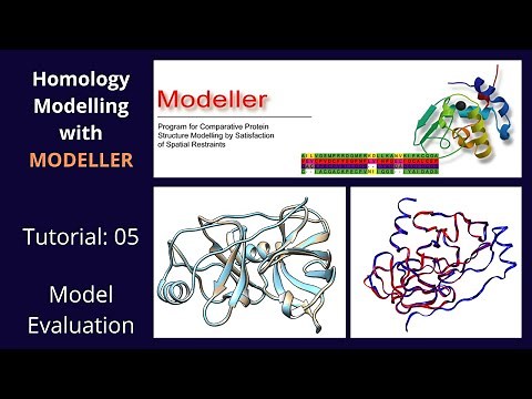 Homology Modelling | Tutorial 5 of 5 | Modeller