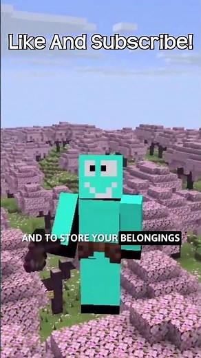 How To Get A Tool Belt In Minecraft?!