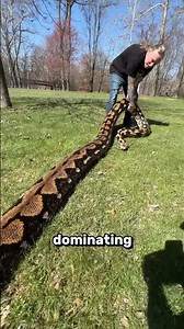 Anaconda vs. Python 😱
