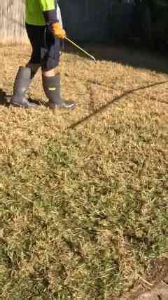 This is what happens when you stop putting off yard work