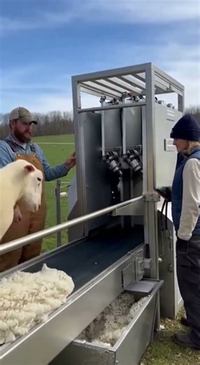 How Modern Farm Machines Work | Satisfying Automated Process #youtubshorts #shorts #viral #foryou