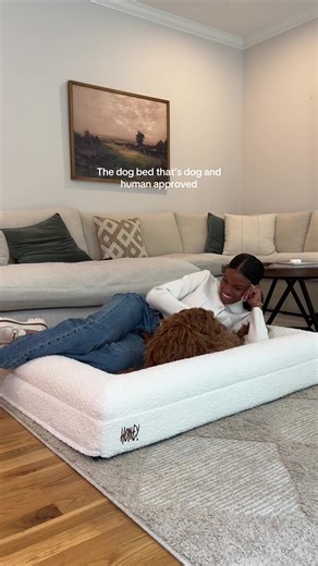 El Gran Cama de Perro: Confort para tu Mascota