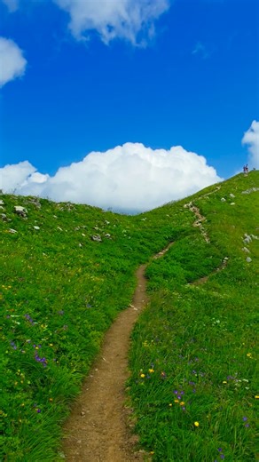 2.4K reactions · 255 comments | #switzerland #part19 #冀冀冀 #mountains #roudtrip #naturephotography #wandern #hiking #naturelovers #bergliebe #lifestyle #like4like #love | Hr Glück | Facebook