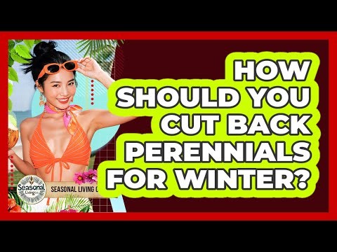 How Should You Cut Back Perennials For Winter?