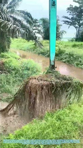 Raking the Muck: Why Clearing Pond Weeds Starts with Iron Teeth