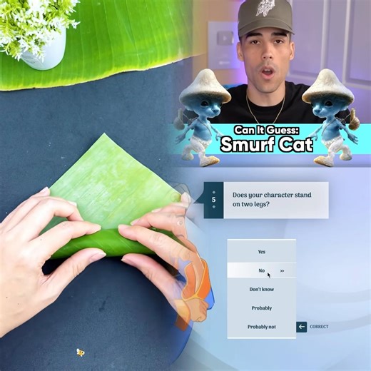 Akinator Guesses the Smurf Cat 🔵🐱 #funny #comedyfilmshort