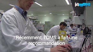 COMMENT UTILISER LE CBD Vidéo publiée avec l'aimable autorisation de LaMota | La Maison du Chanvre