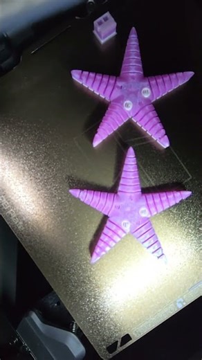 ⭕Bambu lab P2S Double Starfish Cookie CAD Pink Elixir- top view