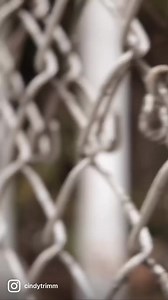 18K views · 992 reactions | A little behind the scenes for your timeline﫶 | Cindy Trimm | Facebook