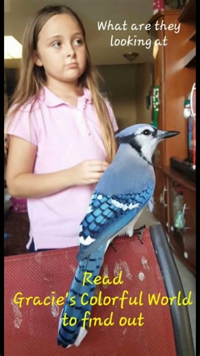 A Rescue Blue Jay Perches From The Safety Of His Little Clubhouse