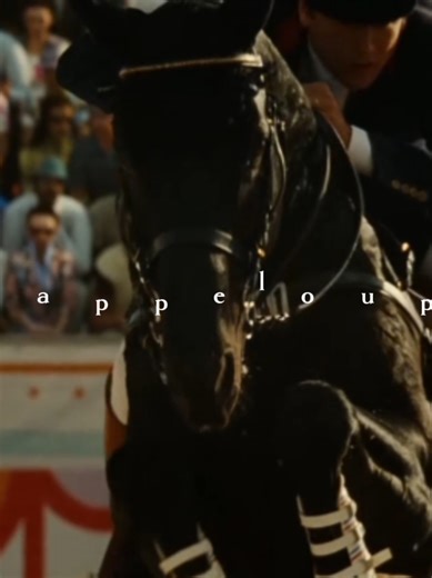 Un cheval, ça ne se monte pas mais se comprend