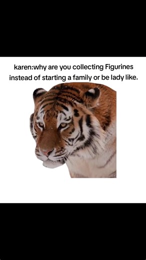 I would rather collect transformer figurines because its fun and i don't have to worry about responsibility.#transformers #transformerageofprimes #other #figurinescollection