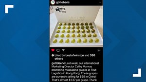 $55 for a bunch of grapes? Where people are paying this price for NC Muscadine grapes