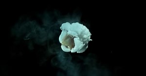 You NEED To Watch Popcorn Pop In Super Slow Motion