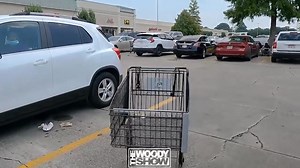 Agent Bon Garcon encounters some scheming women | Nar cateers