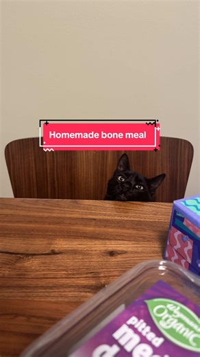 Homemade Bone Meal Recipe for Cats