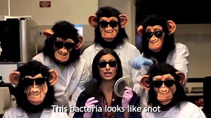 The Lab Song | Medical Laboratory Scientist