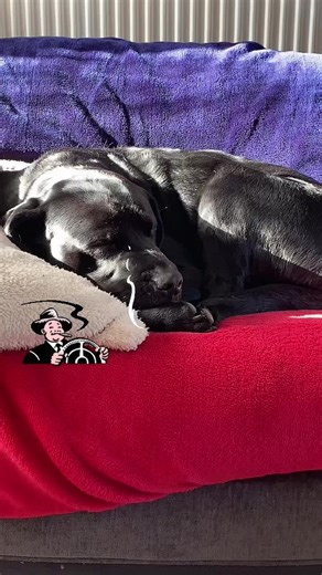 louisemartinbear🌈z (@louisemartinbear)’s videos with original sound - TheWolverineMutant