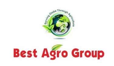 Best Agrolife Q3 profit jumps to Rs 15.5 cr; revenue at Rs 232 cr
