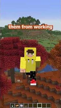 what if the minecraft shelf mushroom was a shelf? #minecraft