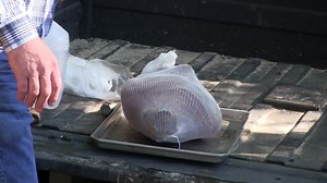 After curing, cold smoking and letting ham sit and sweat for 10 months (hock down). Shuck, scrub, and resack it and hang 2 days per pound (under 75 degrees). (Part 2 of 3) | Tim Farmer's Country Kitchen