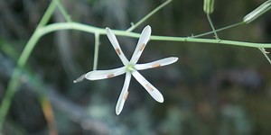 Monthly Moments - April 2025