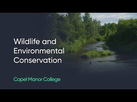 Study wildlife and environmental conservation at Capel Manor College