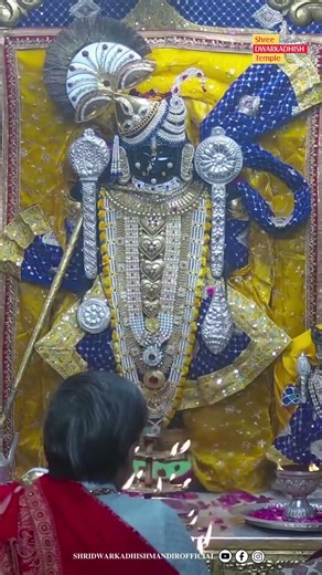 राजाधीराज द्वारीकाधीशजी के संध्या आरती दर्शन 🙏🏻#sandhyaaarti#ShridwarikadhishmandirOfficial
