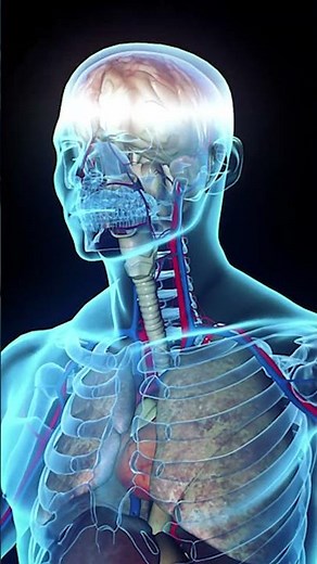 How‪@CellCoreBiosciences‬'s BC-ATP works in the body⚡ #atp #cellularhealth #energy