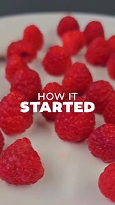 If this Frozen Raspberry Ripple Cake has not made it to your holiday table, what have you been doing?😅 This make-ahead dessert is a total gamechanger — perfect for wrapping up Sunday kos. Who’s ready for a slice of heaven? 🙋‍♀️🍓 #FestiveTreats #BehindTheScenes #HolidayDesserts | MyKitchen