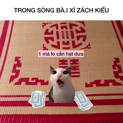 Kiểu 1 nha #phieubengoan