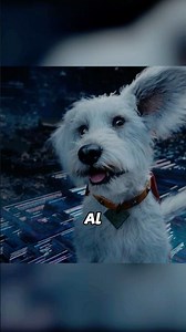 El superperro salvó a Superman 🐶🦸‍#peliculas #cine #movie #shorts #comentarios